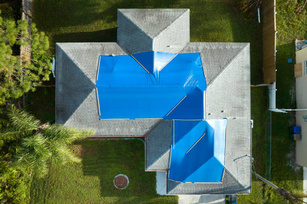 Best Roof Moss and Algae Removal  in Hudson, NY