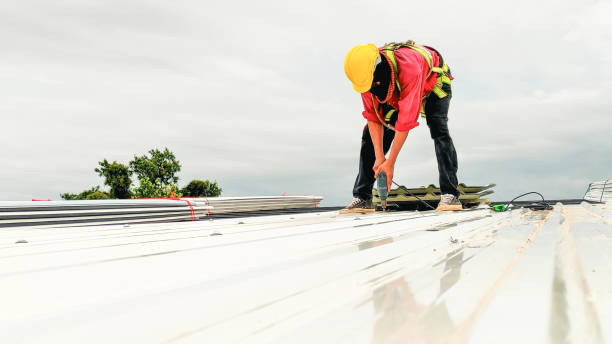 Best Roof Maintenance and Cleaning  in Hudson, NY